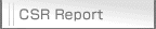 CSR Report