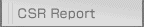CSR Report