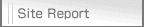 Site Report