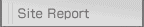 Site Report