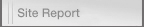 Site Report