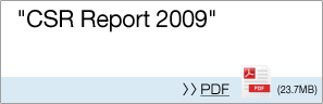 CSR????2009