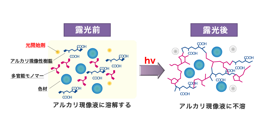 図 露光による重合開始剤の反応機構