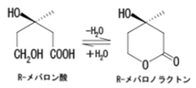 メバロノラクトンイメージ