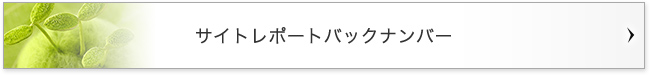 サイトレポートバックナンバー