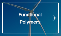 Functional Polymers