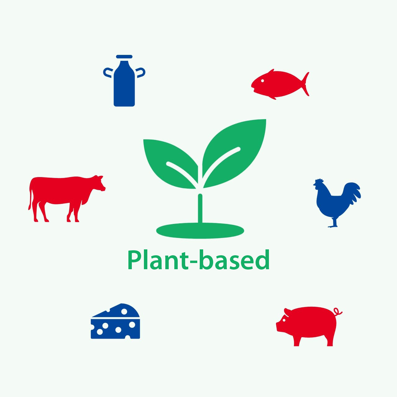 What is a plant-based food?