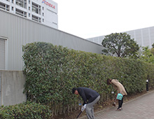 清掃活動